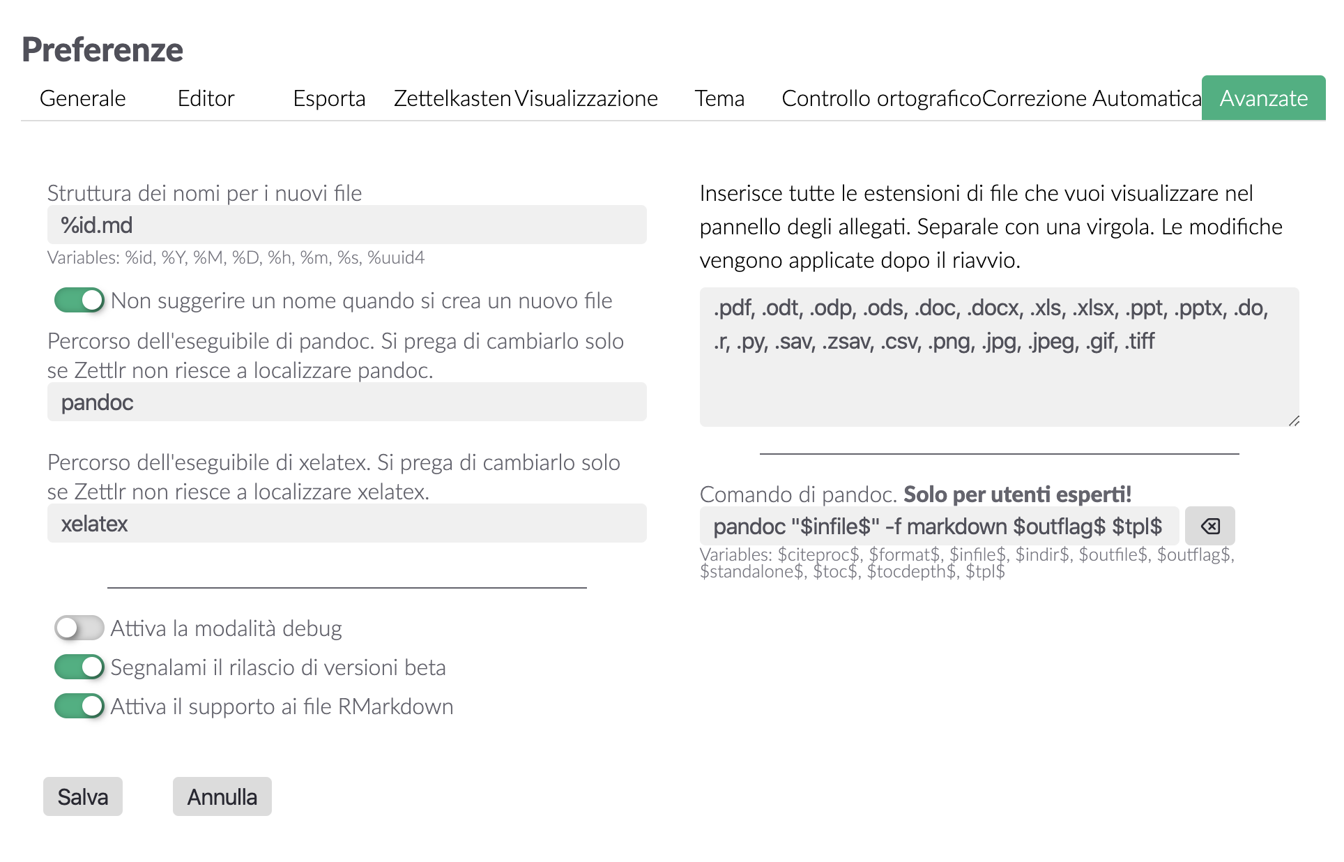 Nelle impostazioni avanzate, puoi scegliere tutte le estensioni che desideri vengano visualizzate nel pannello.